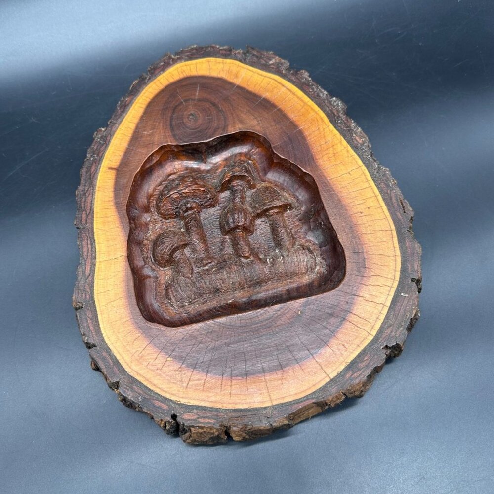 Vintage Mushroom Wood Carving 1970S Live Edge Wall Hanging Art Oval 3D Retro